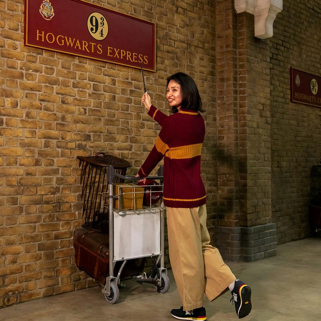 Warner Bros. Studio Tour Tokyo Tickets Category
