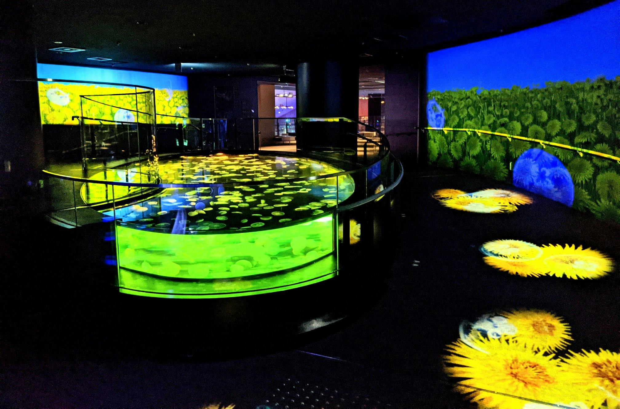 Tokyo Skytree + Sumida Aquarium Tickets Review