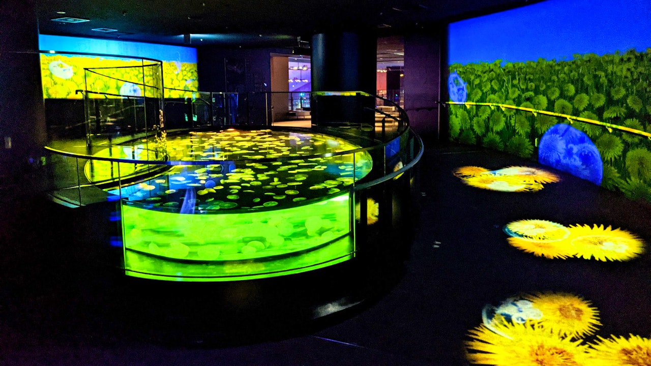 Tokyo Skytree + Sumida Aquarium Tickets Review