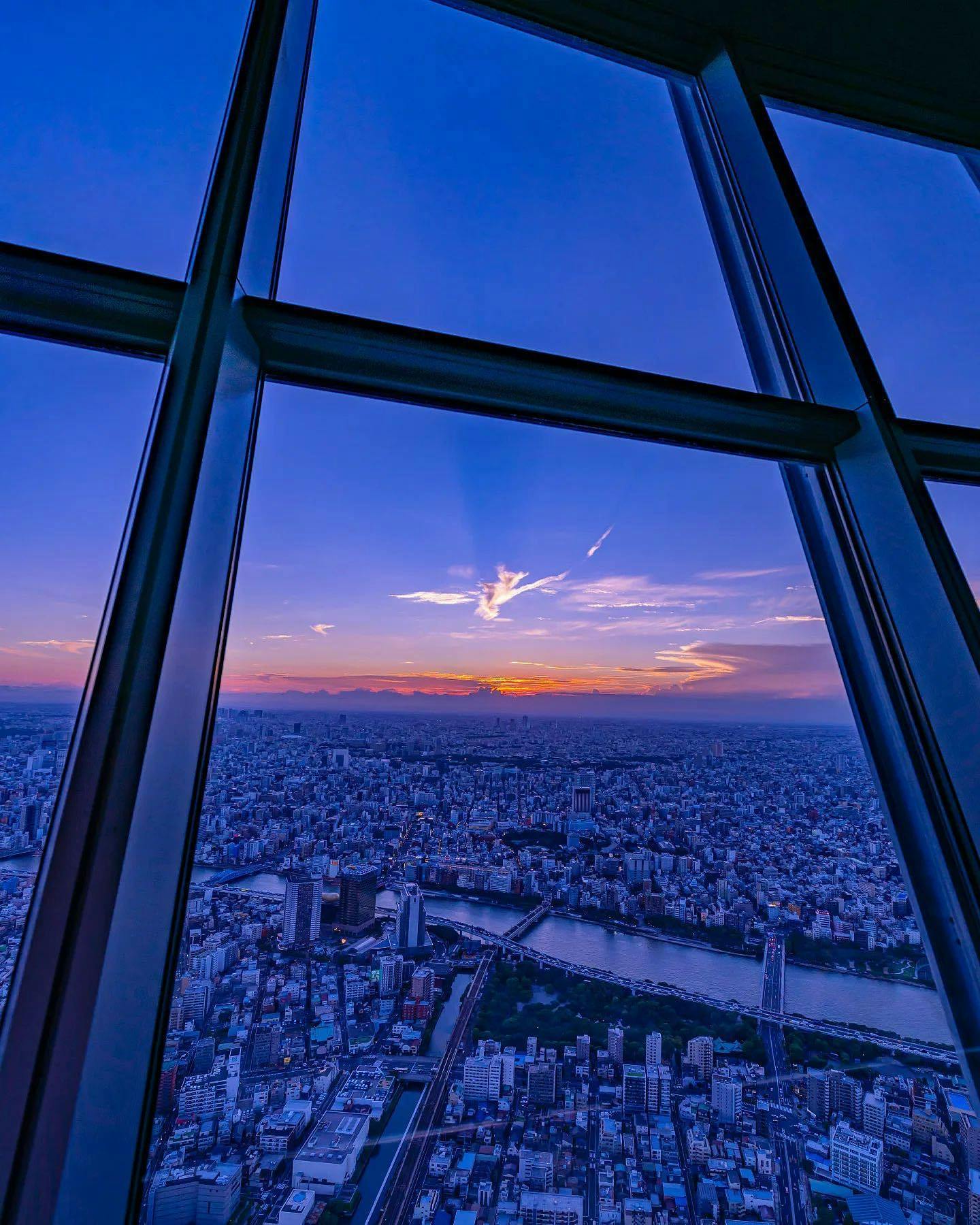 Tokyo Skytree + Sumida Aquarium Tickets Category