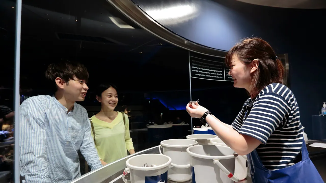 Tokyo Skytree + Sumida Aquarium Tickets Price