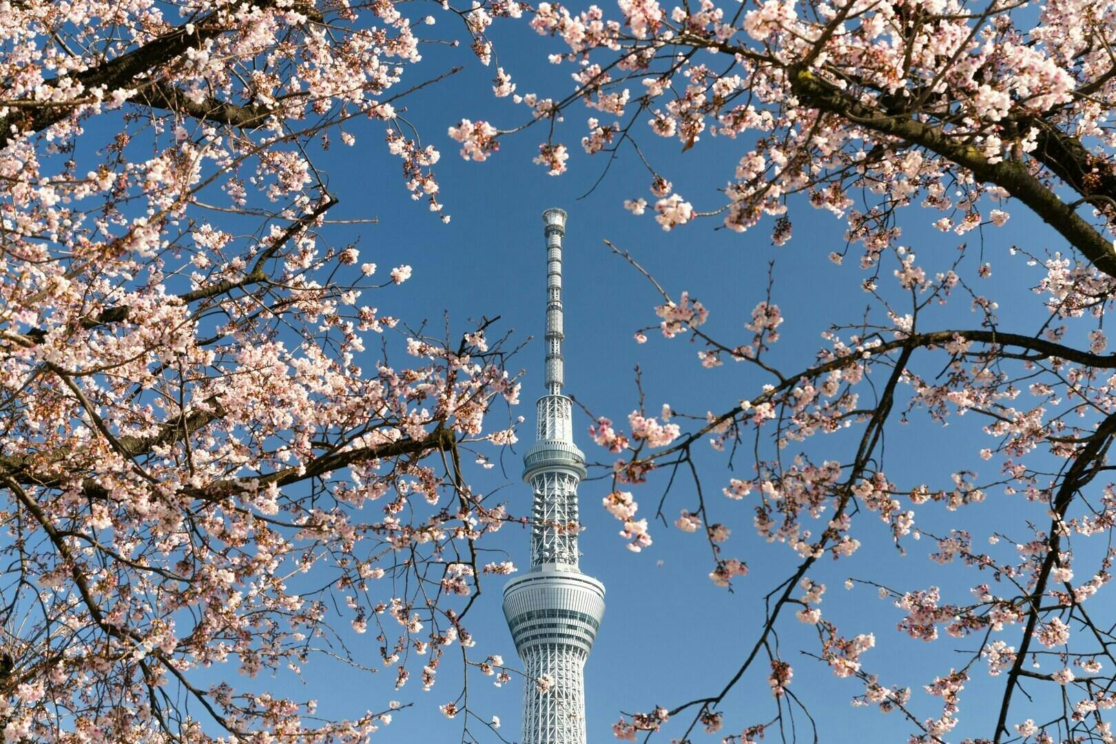 Tokyo Skytree Tickets Thrillark