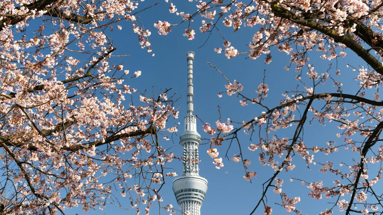 Tokyo Skytree Tickets Thrillark