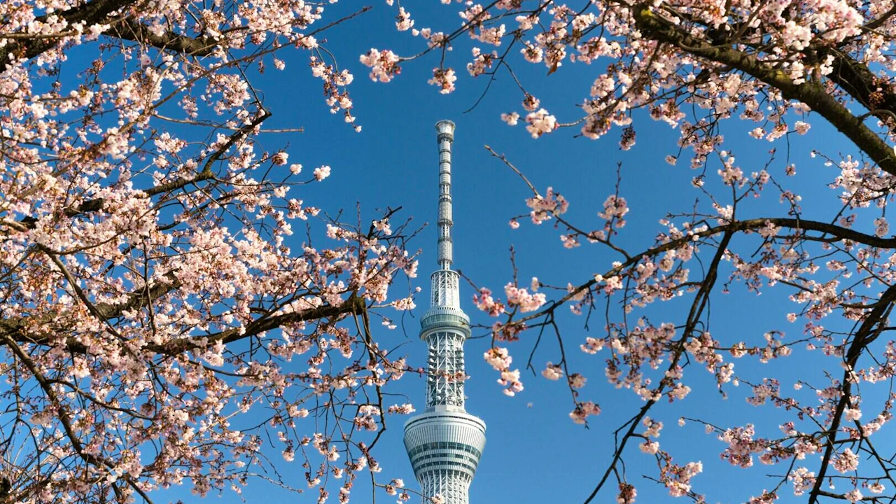 Tokyo Skytree Tickets Thrillark