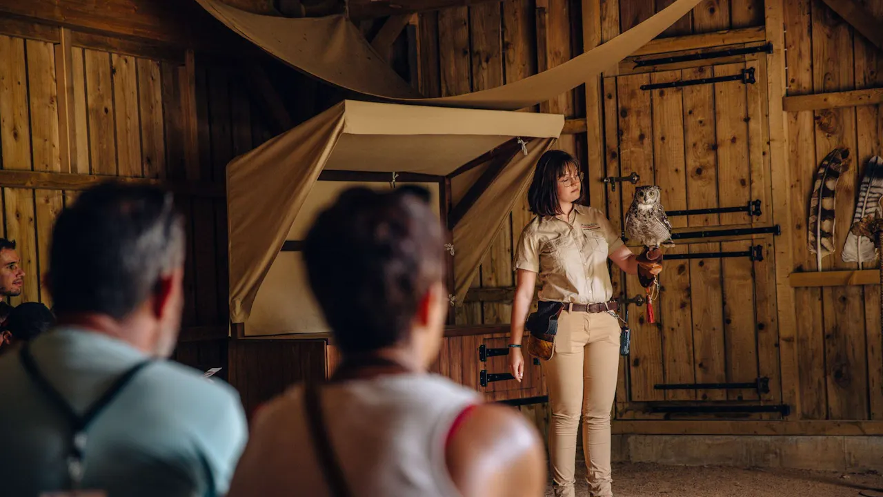 Puy du Fou Theme Park 1-Day Entry Ticket Review