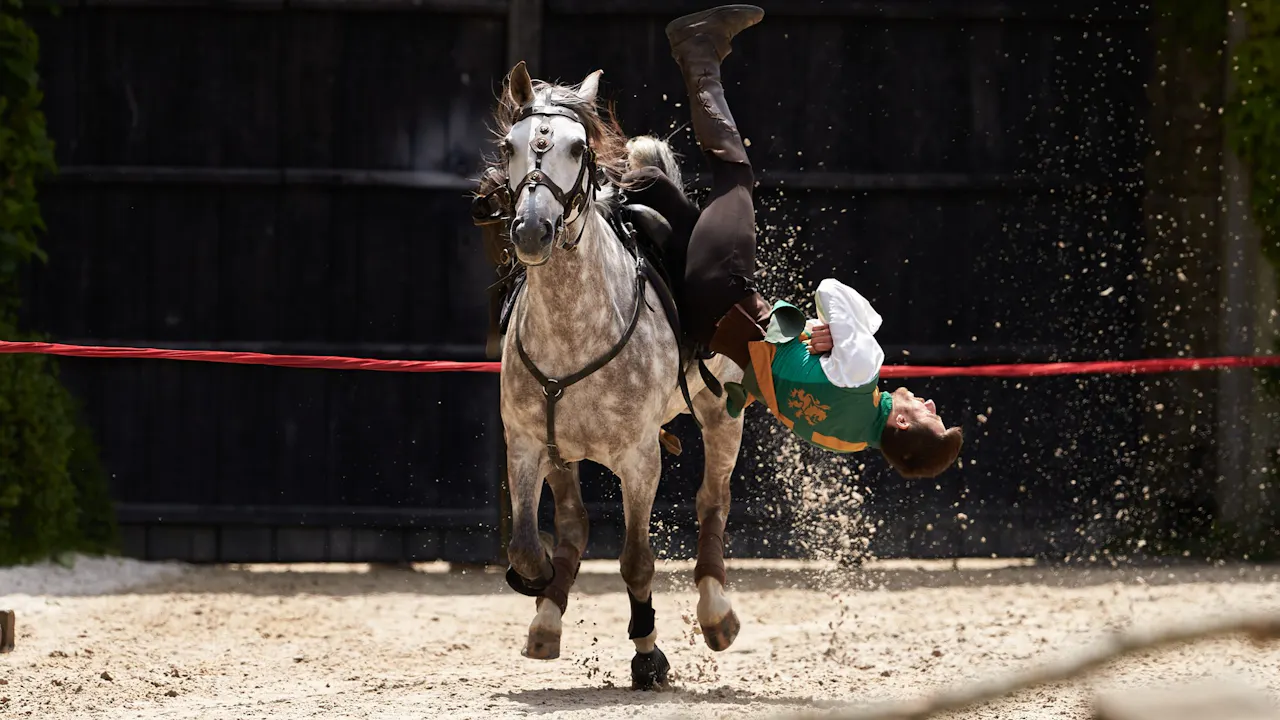 Puy du Fou Theme Park 1-Day Entry Ticket Category