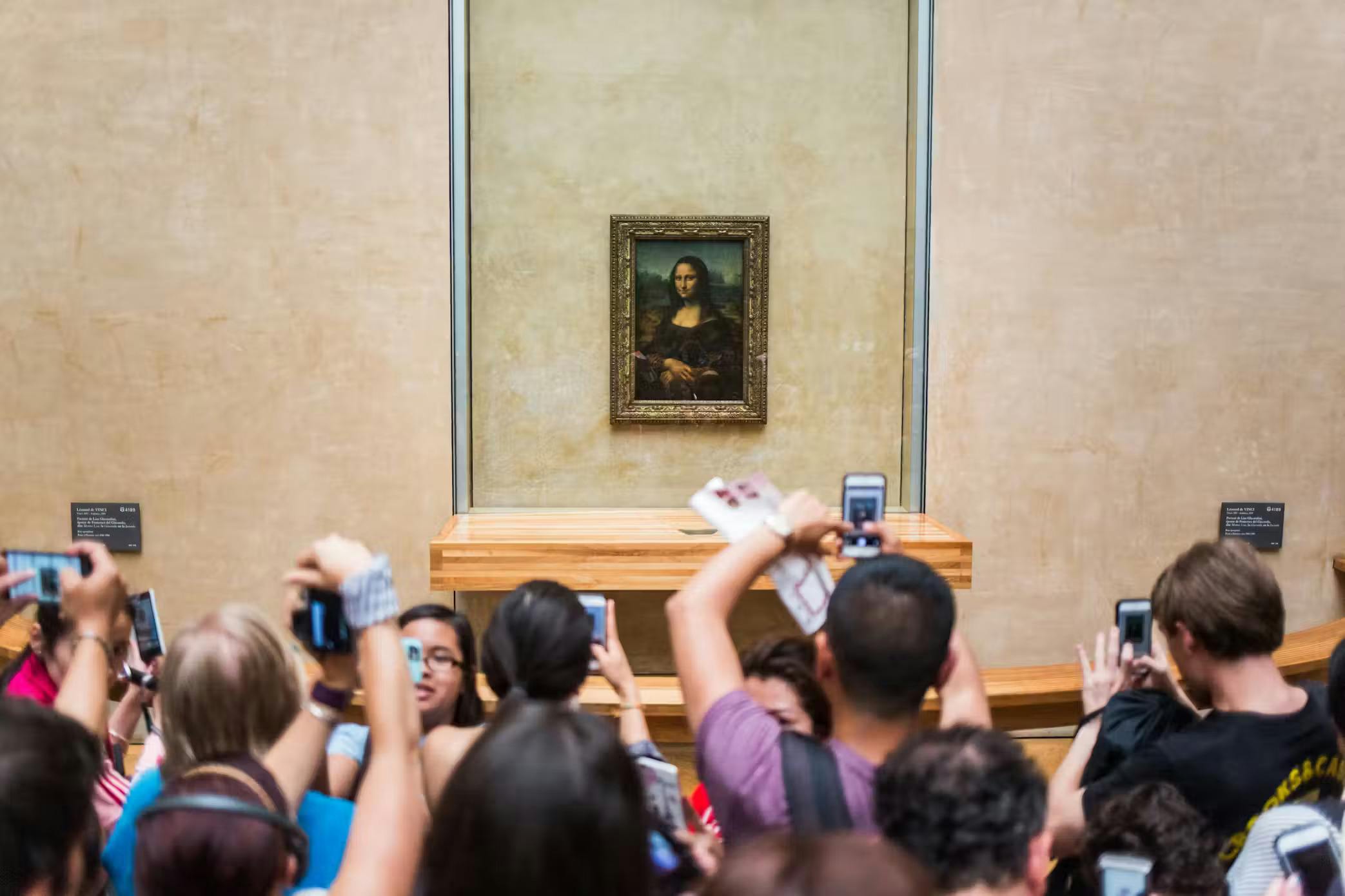 Louvre Museum: Entry Ticket + Hosted Access to Mona Lisa