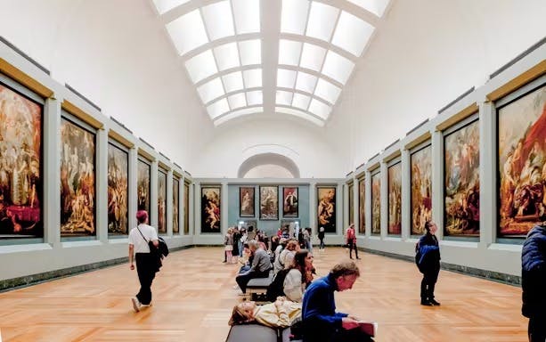 Louvre Museum: Entry Ticket + Hosted Access to Mona Lisa Location