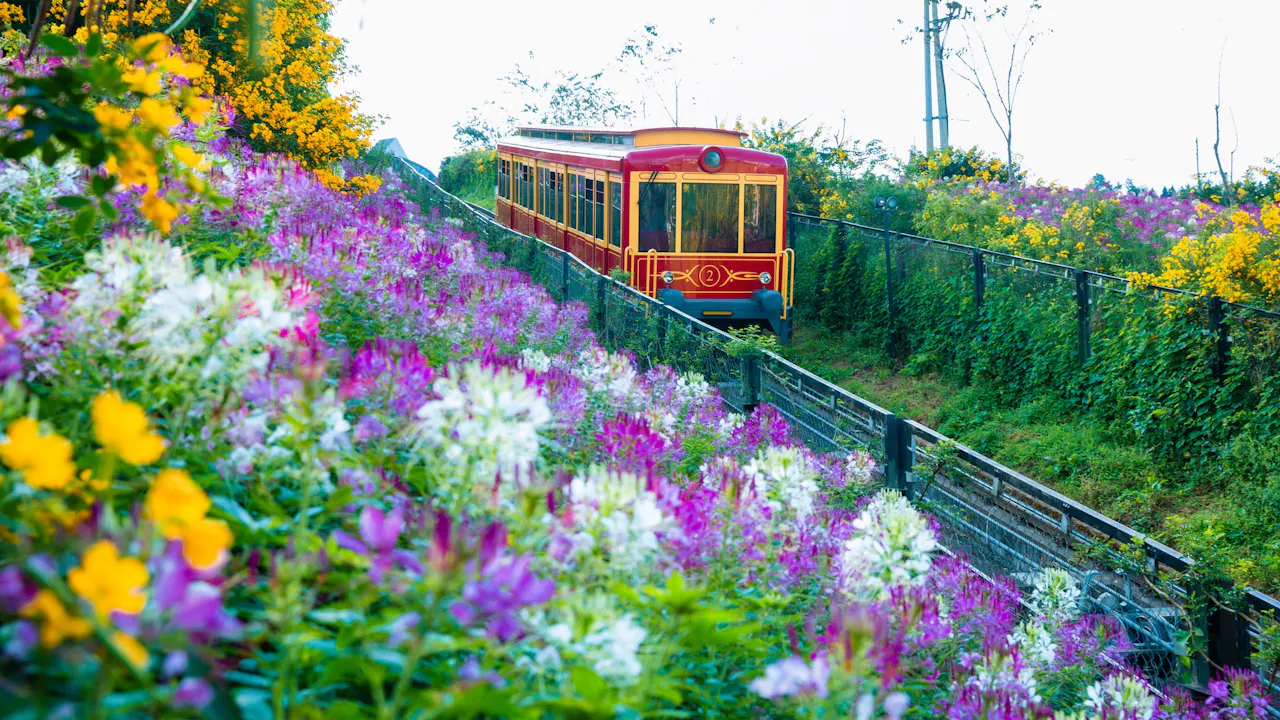 Sun World Fansipan Legend Ticket