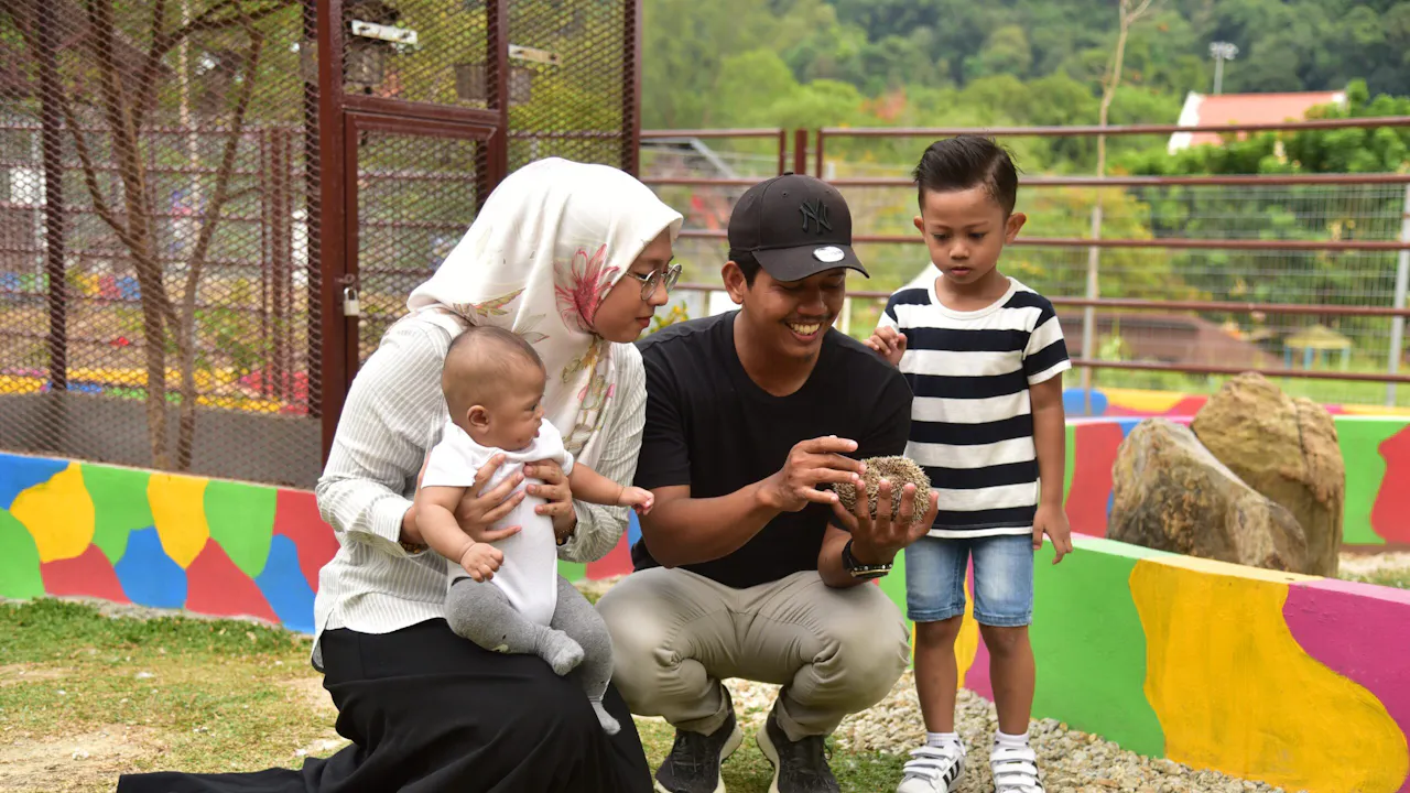 Langkawi SkyCab Tickets Review