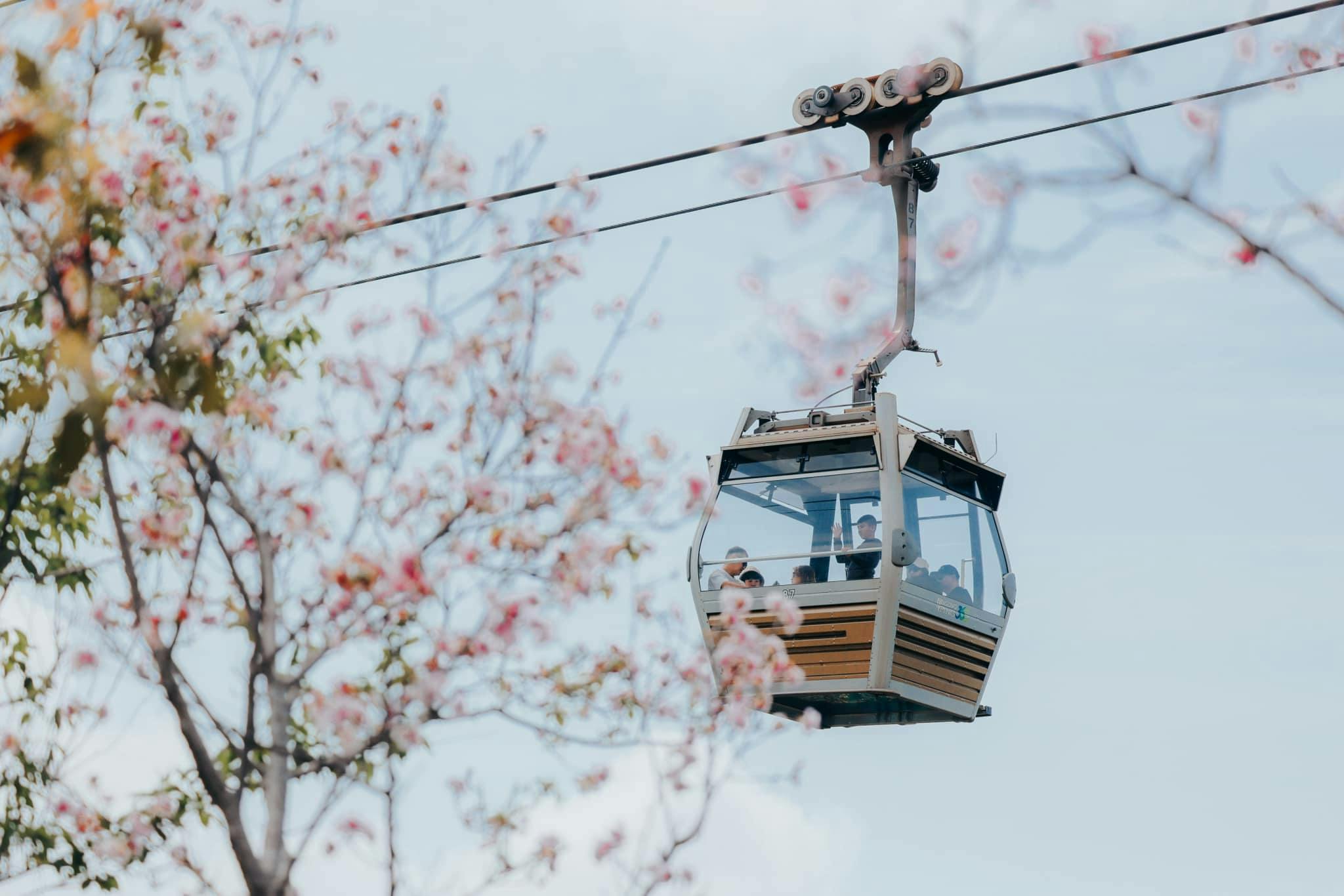 Ngong Ping 360 Cable Car Ticket Price