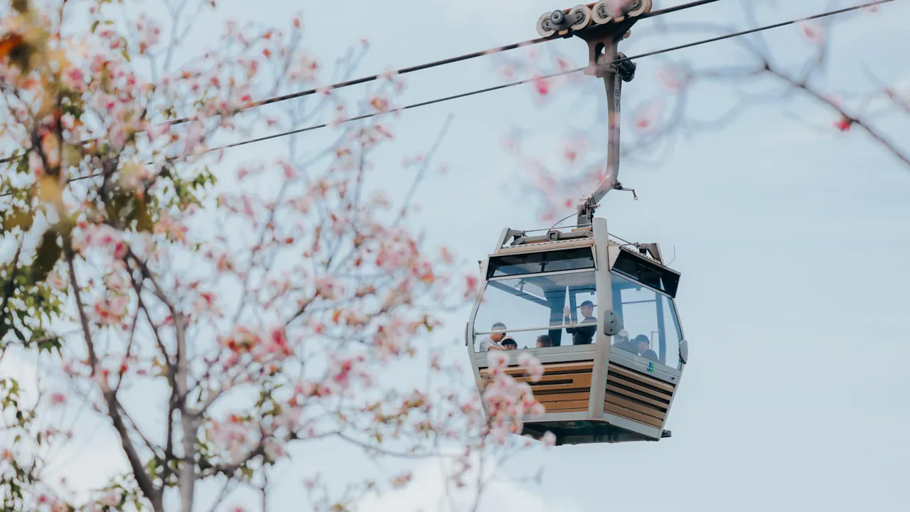 Ngong Ping 360 Cable Car Ticket Price