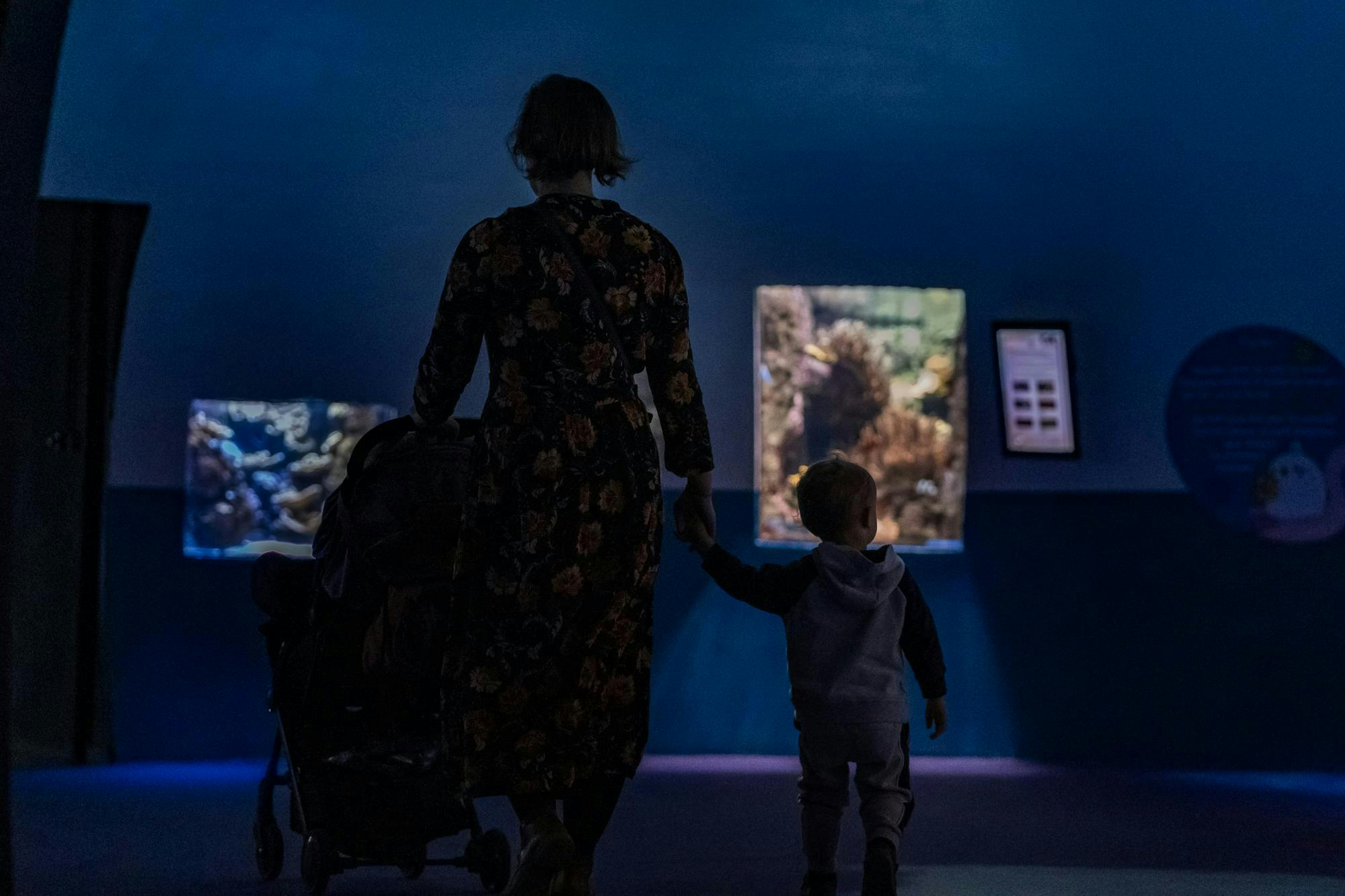 Aquarium de Paris: Entry Ticket Location