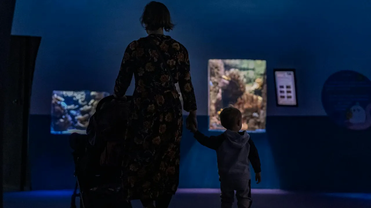 Aquarium de Paris: Entry Ticket Location