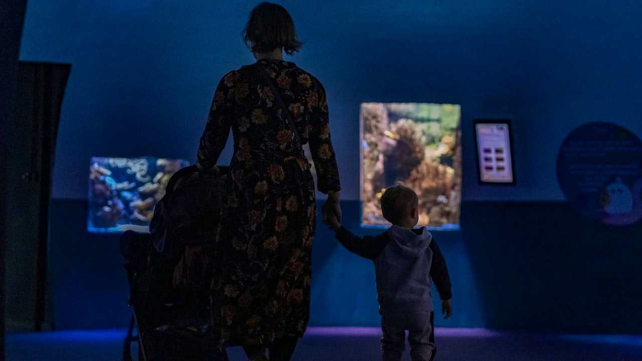 Aquarium de Paris: Entry Ticket Location