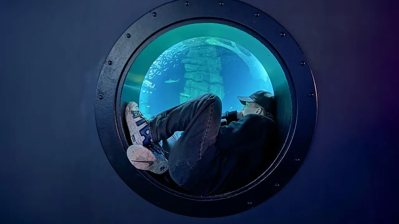 Aquarium de Paris: Entry Ticket