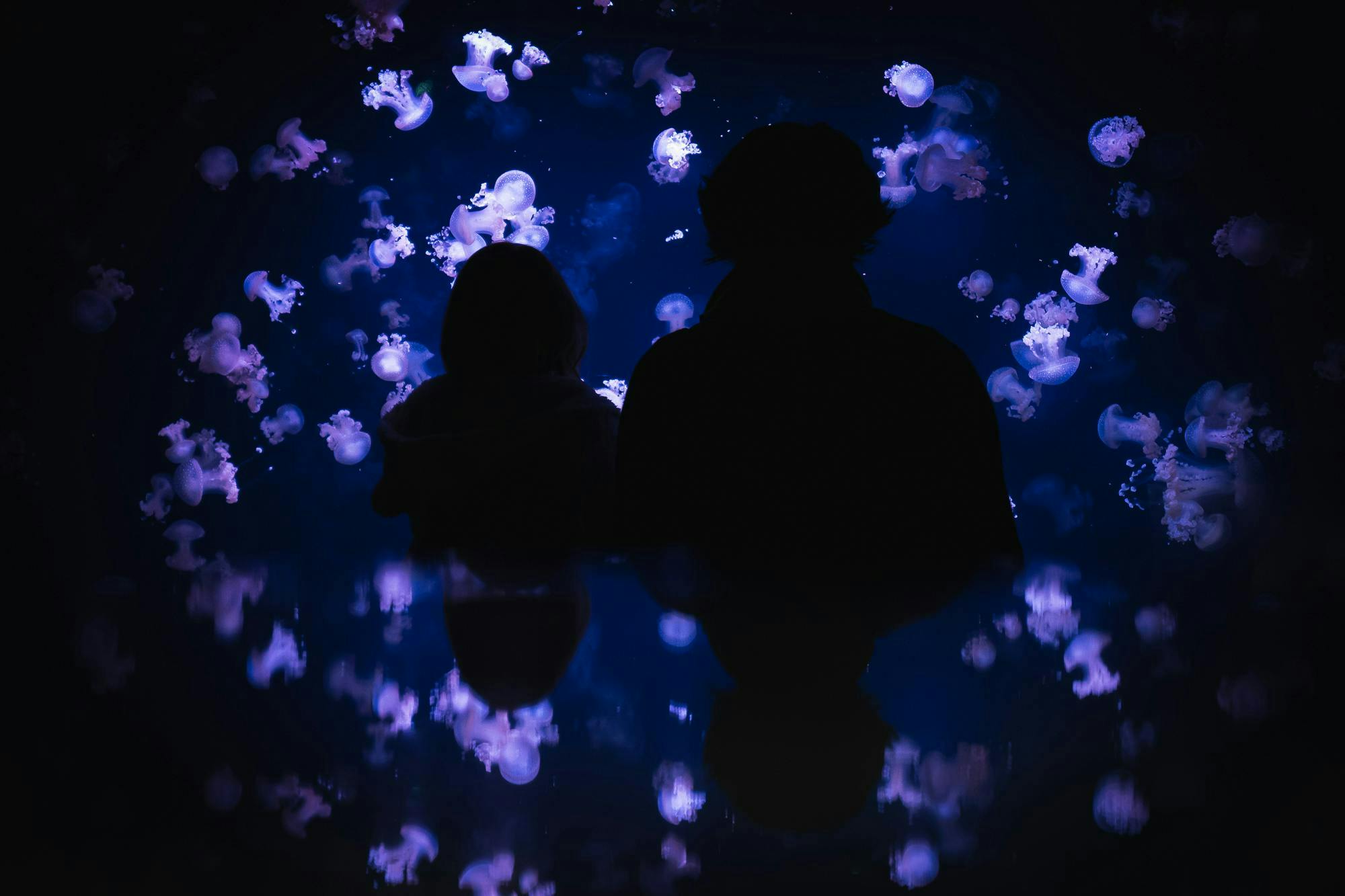 Aquarium de Paris: Entry Ticket Ticket