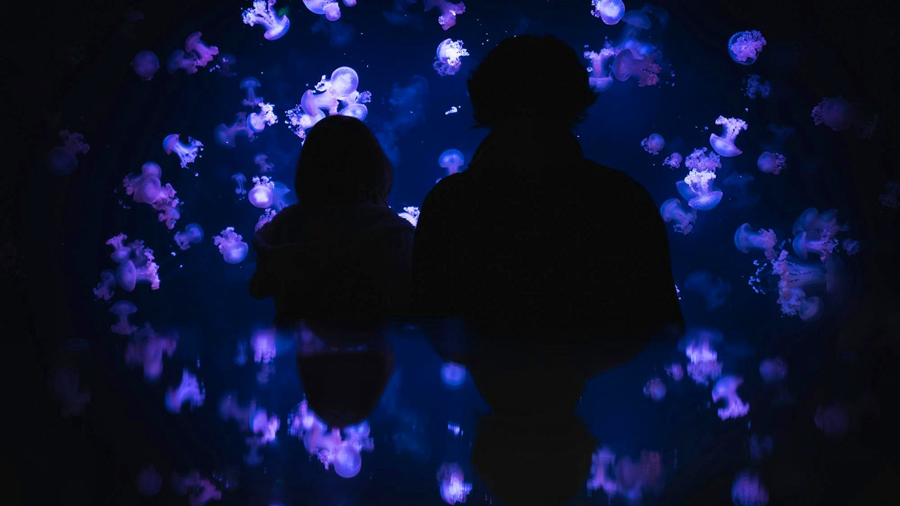 Aquarium de Paris: Entry Ticket Ticket