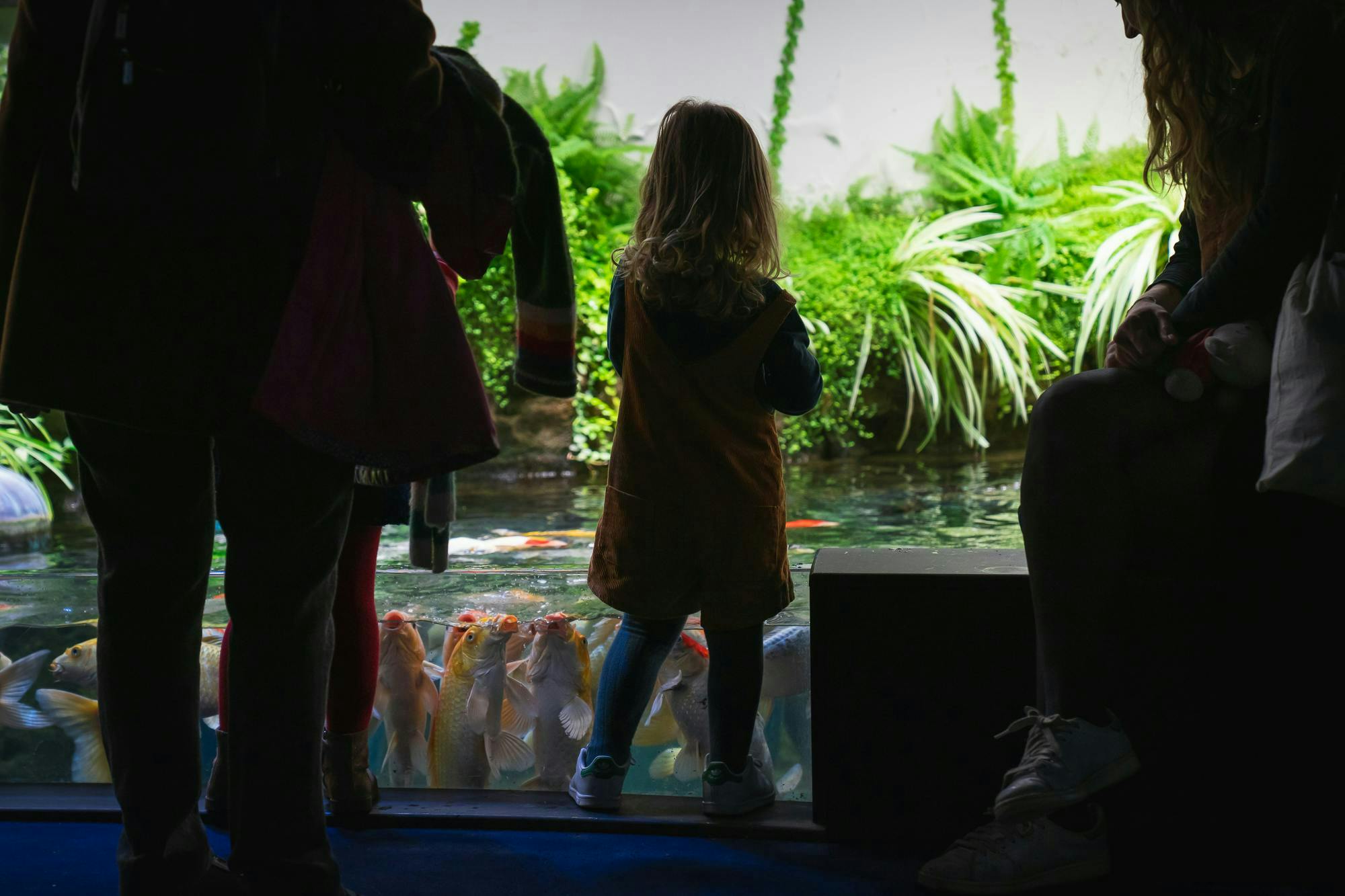 Aquarium de Paris: Entry Ticket