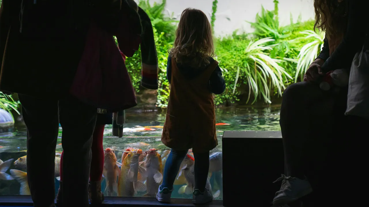 Aquarium de Paris: Entry Ticket Discount