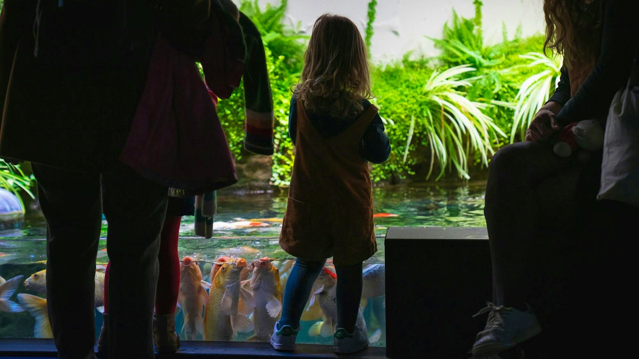 Aquarium de Paris: Entry Ticket Discount