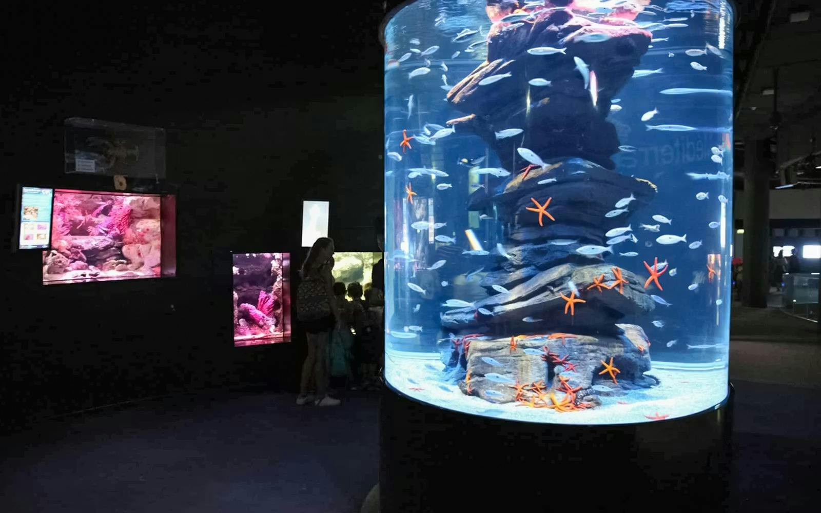 Aquarium de Paris: Entry Ticket Thrillark