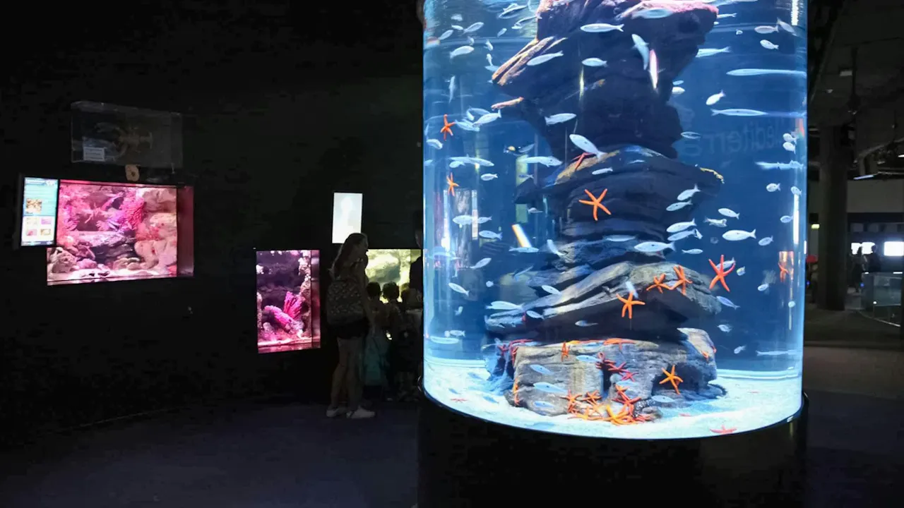 Aquarium de Paris: Entry Ticket Thrillark