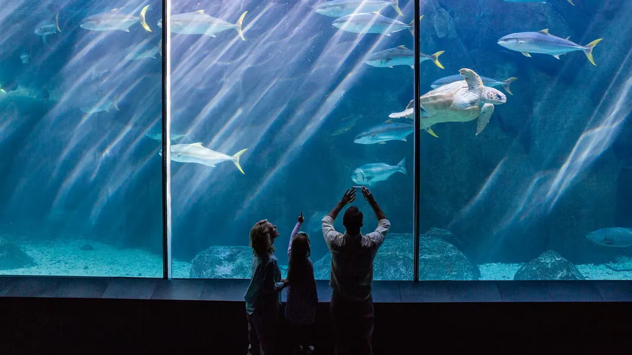 Aquarium de Paris: Entry Ticket Category