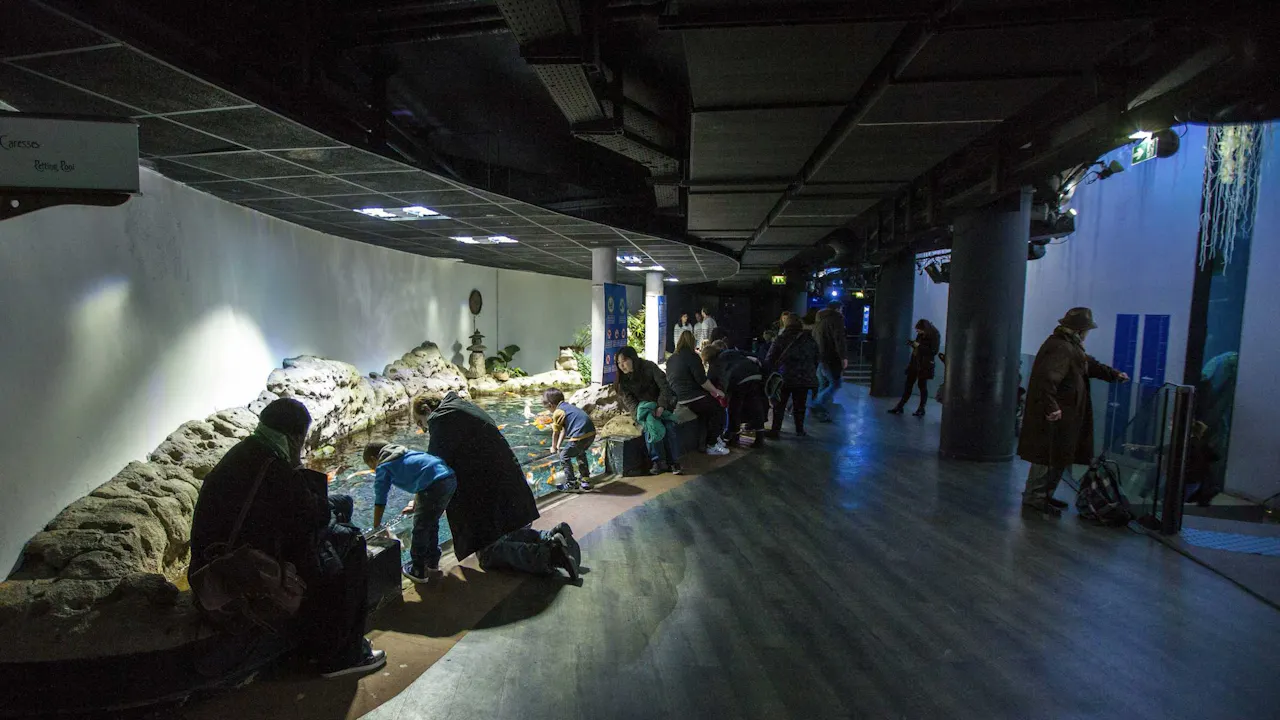 Aquarium de Paris: Entry Ticket Location