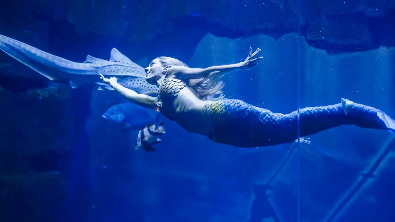 Aquarium de Paris: Entry Ticket