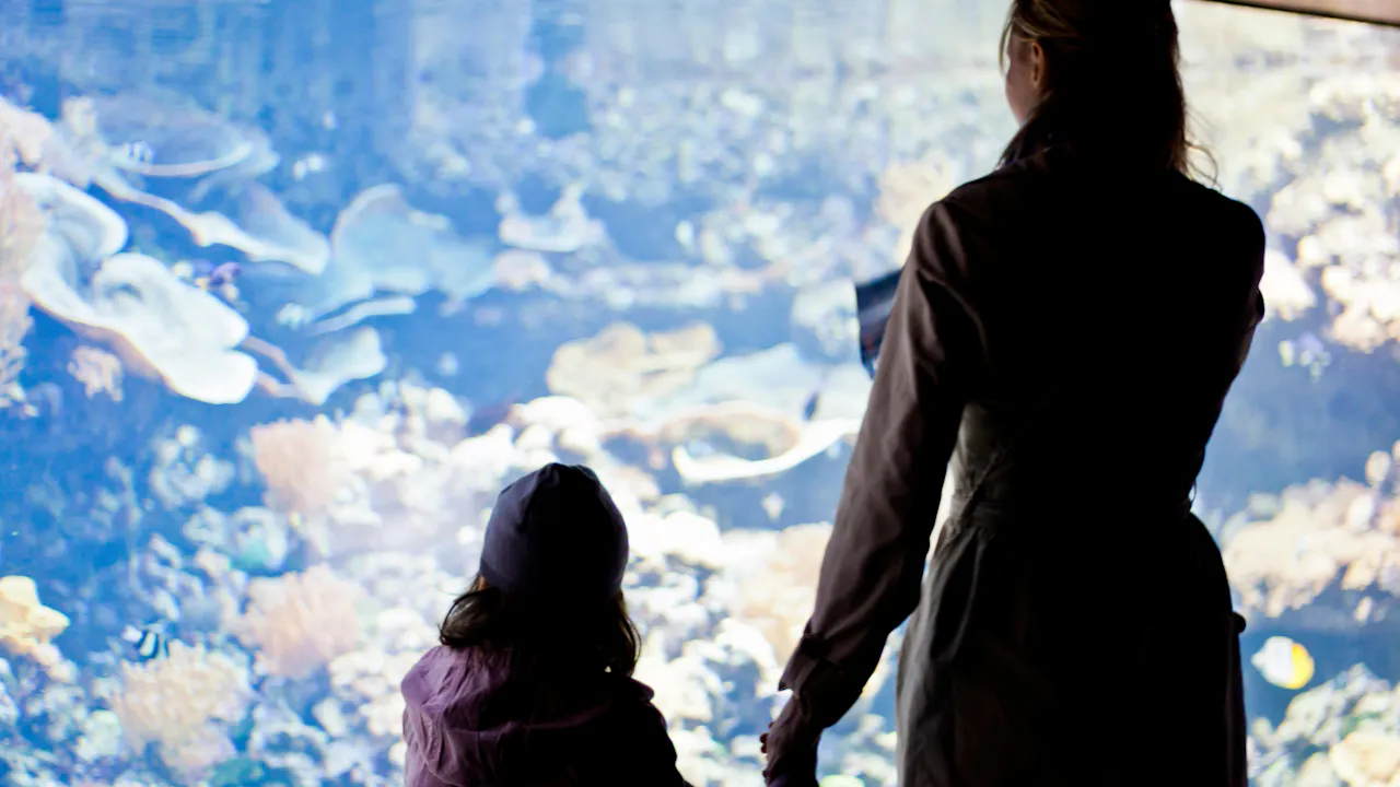 Go City Paris Explorer Pass Review