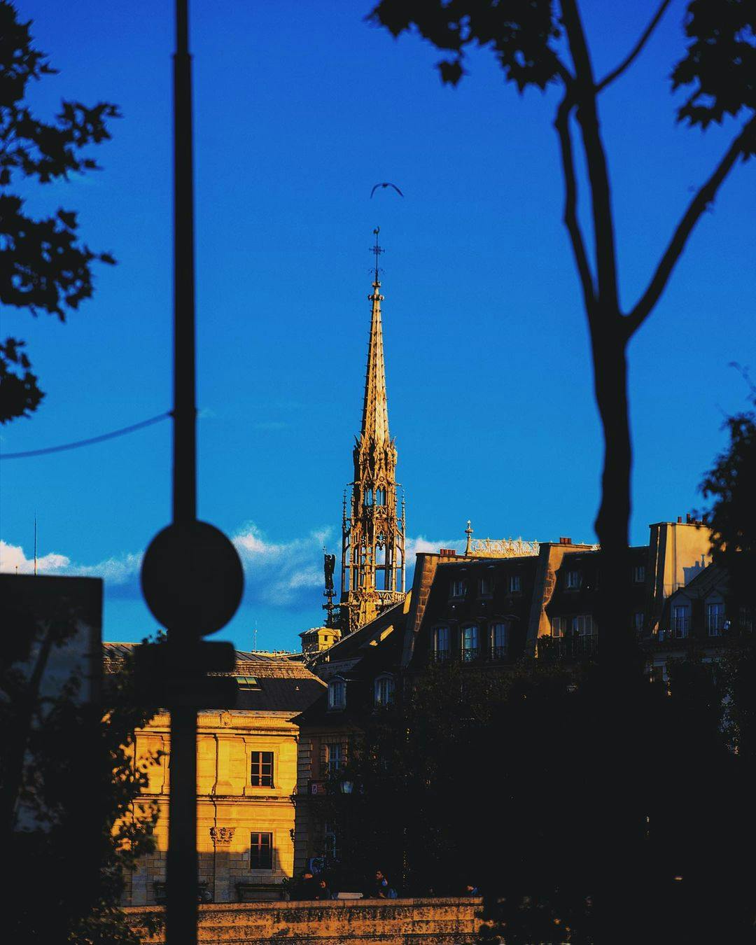 Sainte-Chapelle & Conciergerie Entry Ticket Ticket