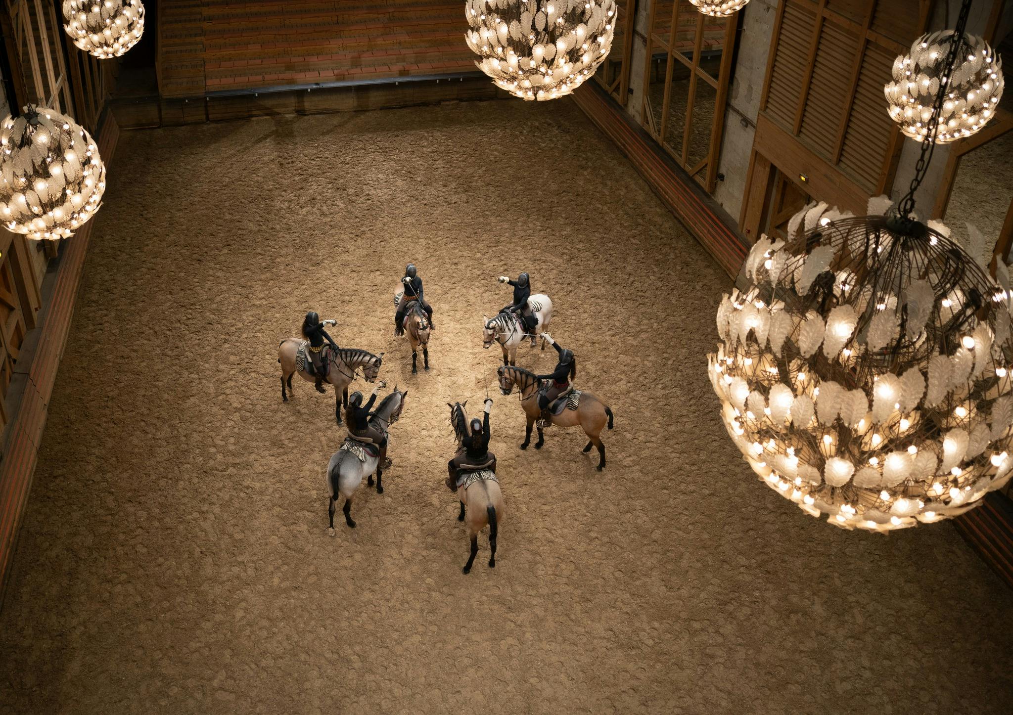 Palace of Versailles Entry Ticket + Gardens + Estate of Trianon 