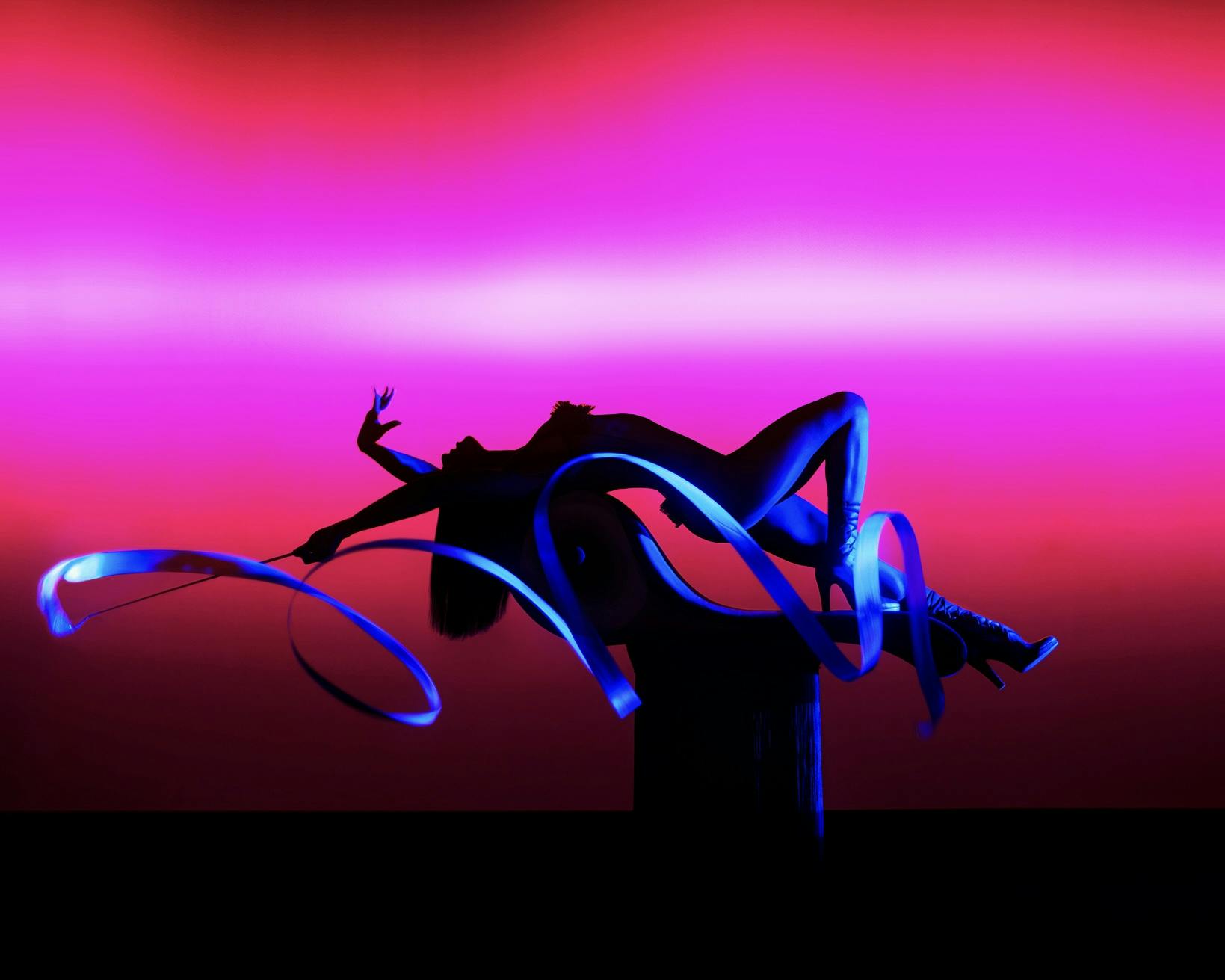 Crazy Horse Paris Show Ticket Category