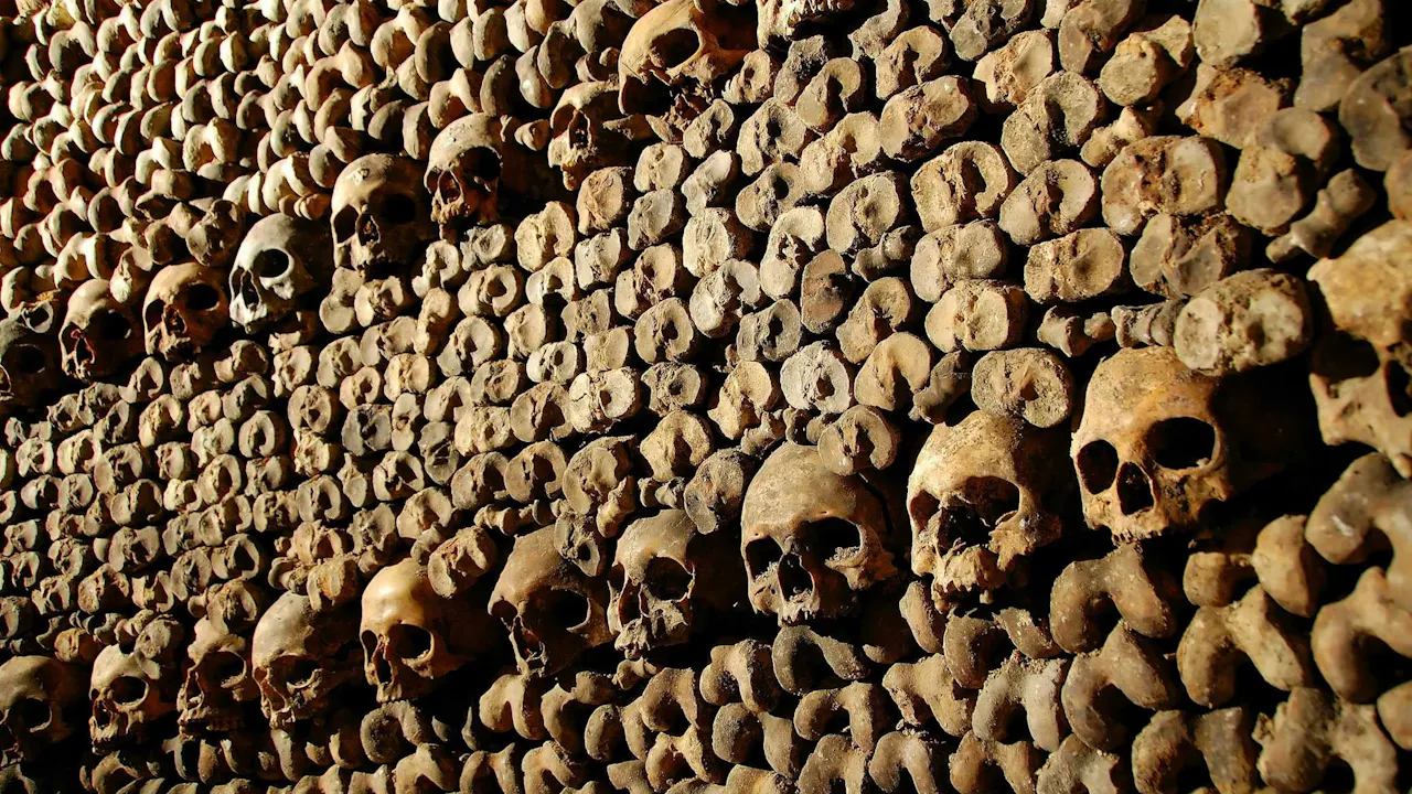 Catacombs of Paris Entry Ticket + Audio Guide Location