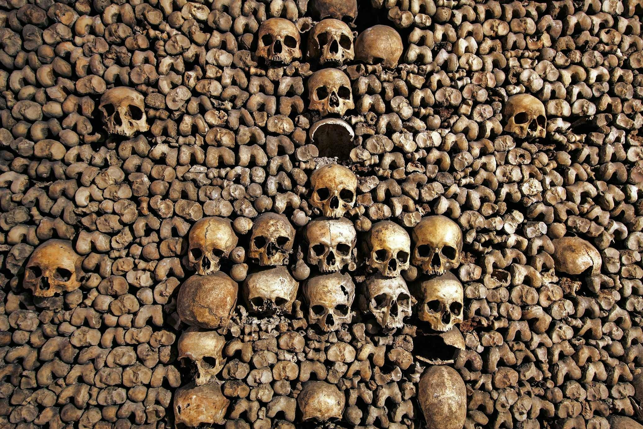 Catacombs of Paris Entry Ticket + Audio Guide Price