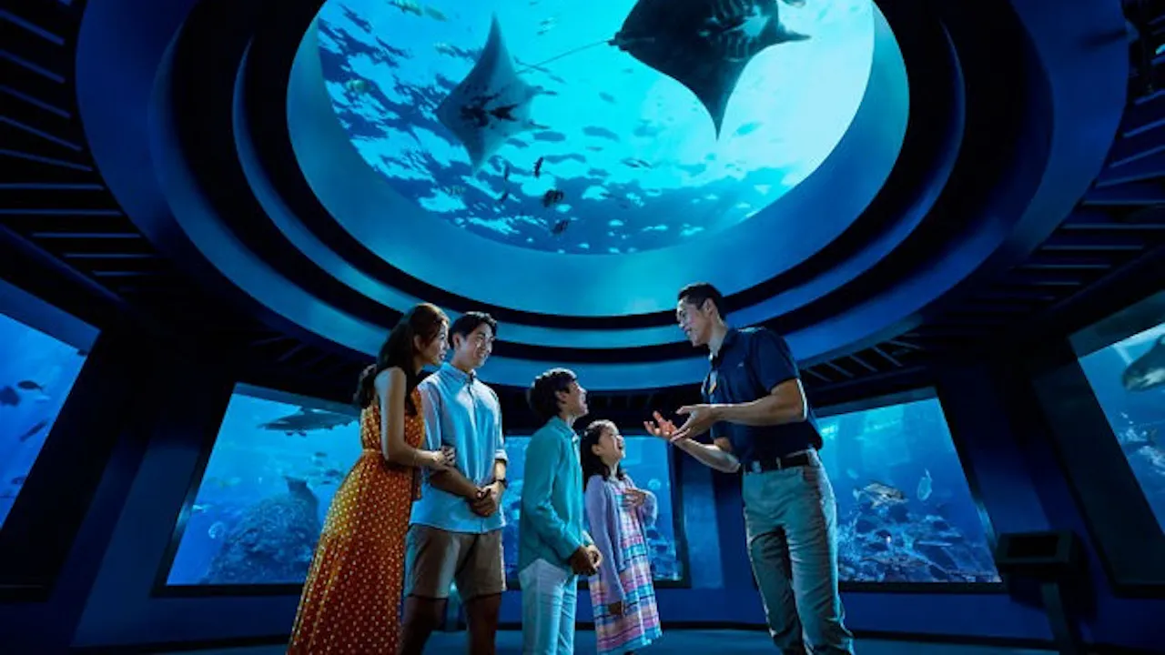 Singapore Oceanarium Tickets: Southeast Asia’s Top Marine Attraction Location