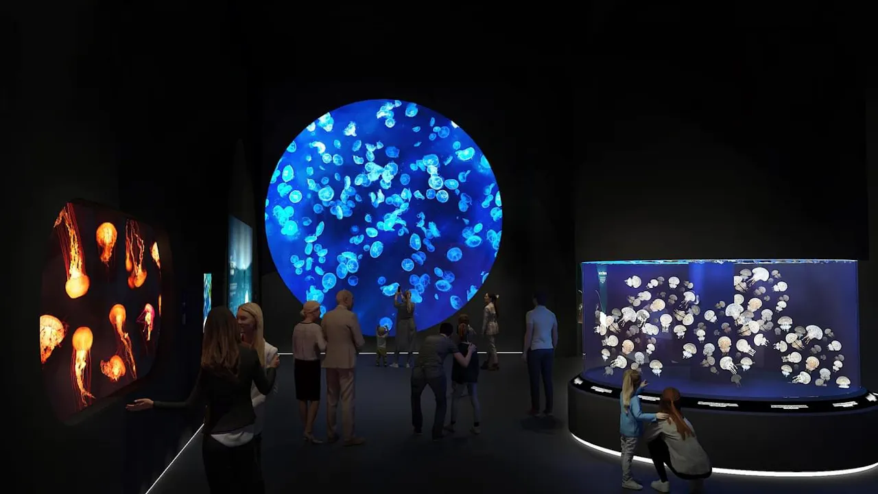 Singapore Oceanarium Tickets: Southeast Asia’s Top Marine Attraction Thrillark