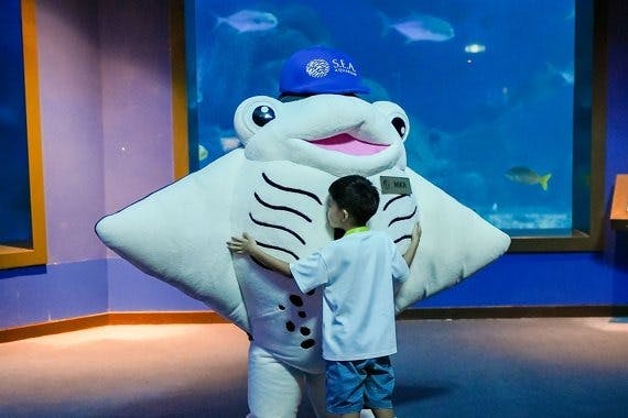 Singapore Oceanarium Tickets:  Southeast Asia’s Top Marine Attraction Discount