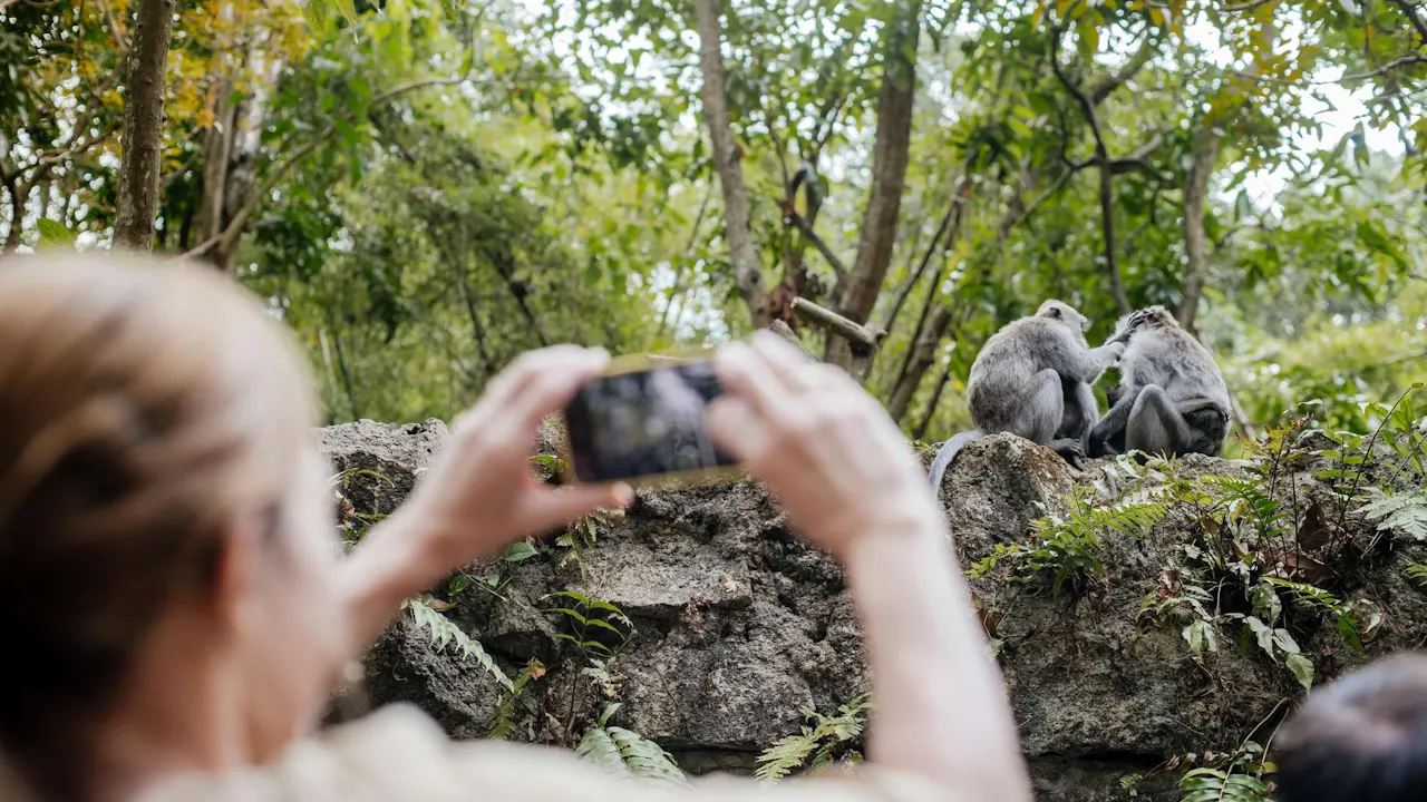 Sacred Monkey Forest Tour Ubud Ticket