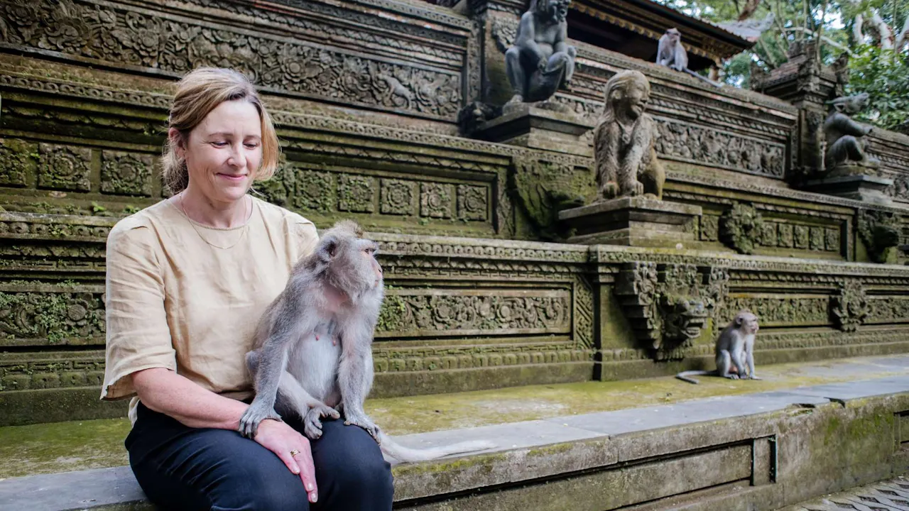 Sacred Monkey Forest Tour Ubud Discount