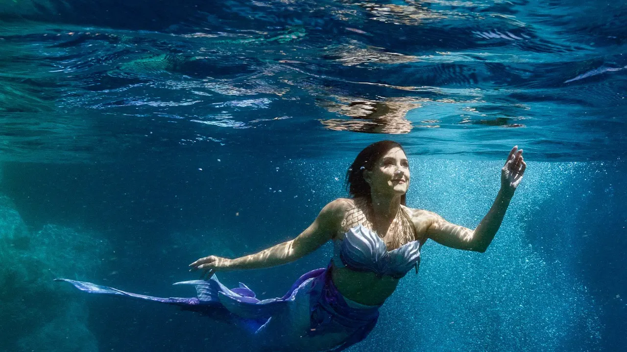 Sea Life Orlando Tickets Discount