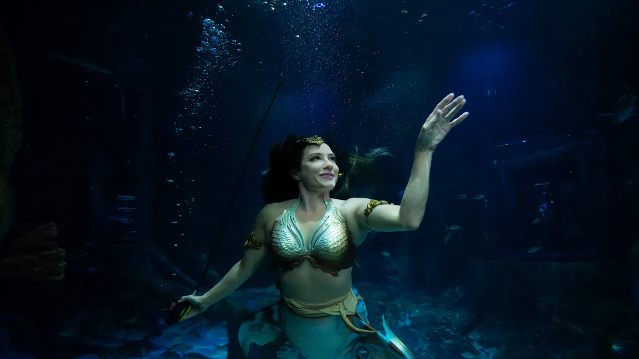 Sea Life Orlando Tickets Price