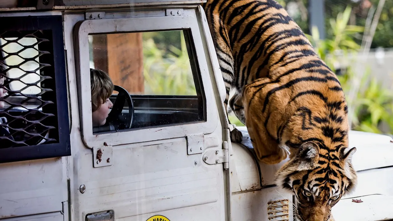 Taronga Zoo Tickets Thrillark