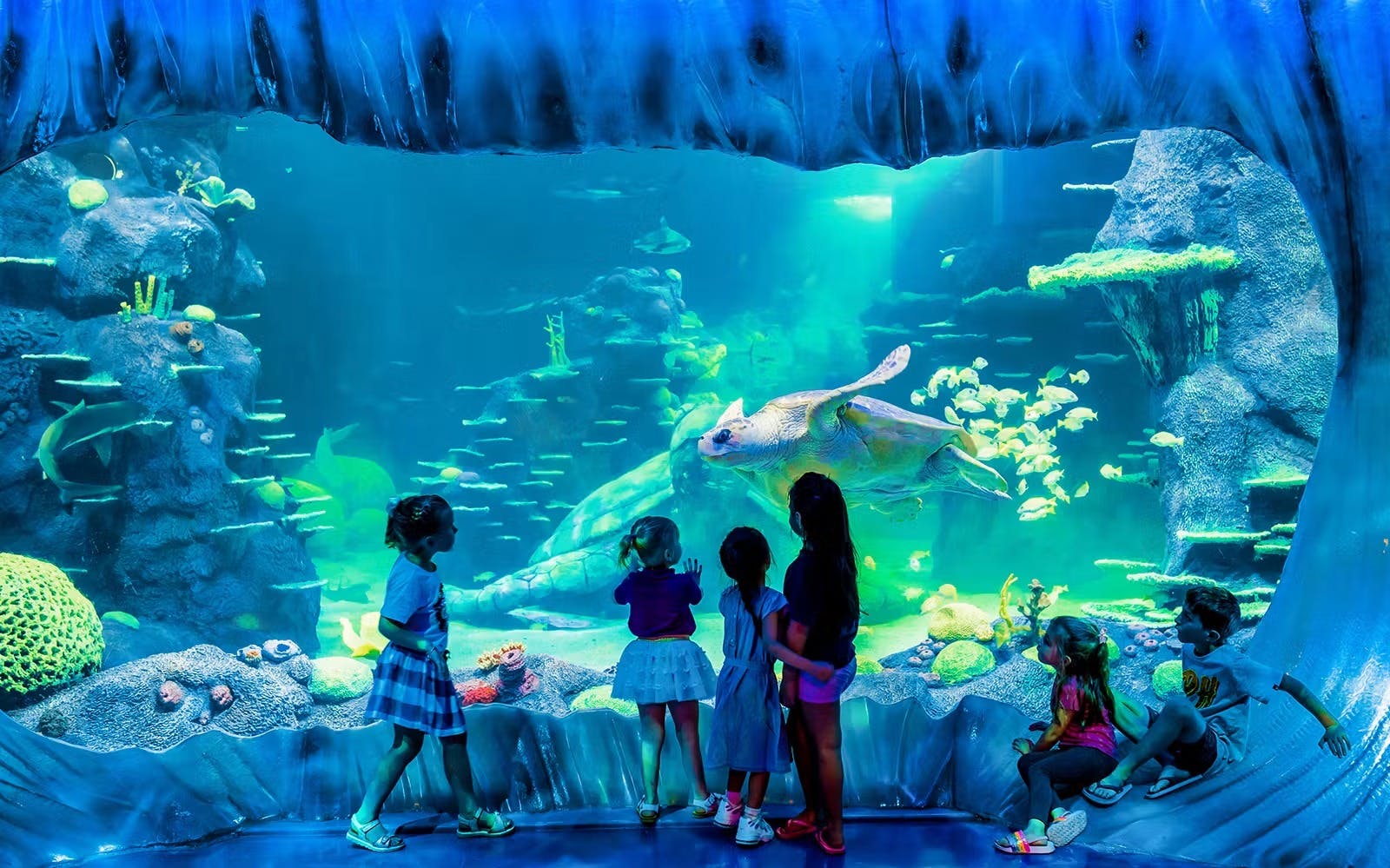 SEA LIFE Sydney Aquarium Tickets 