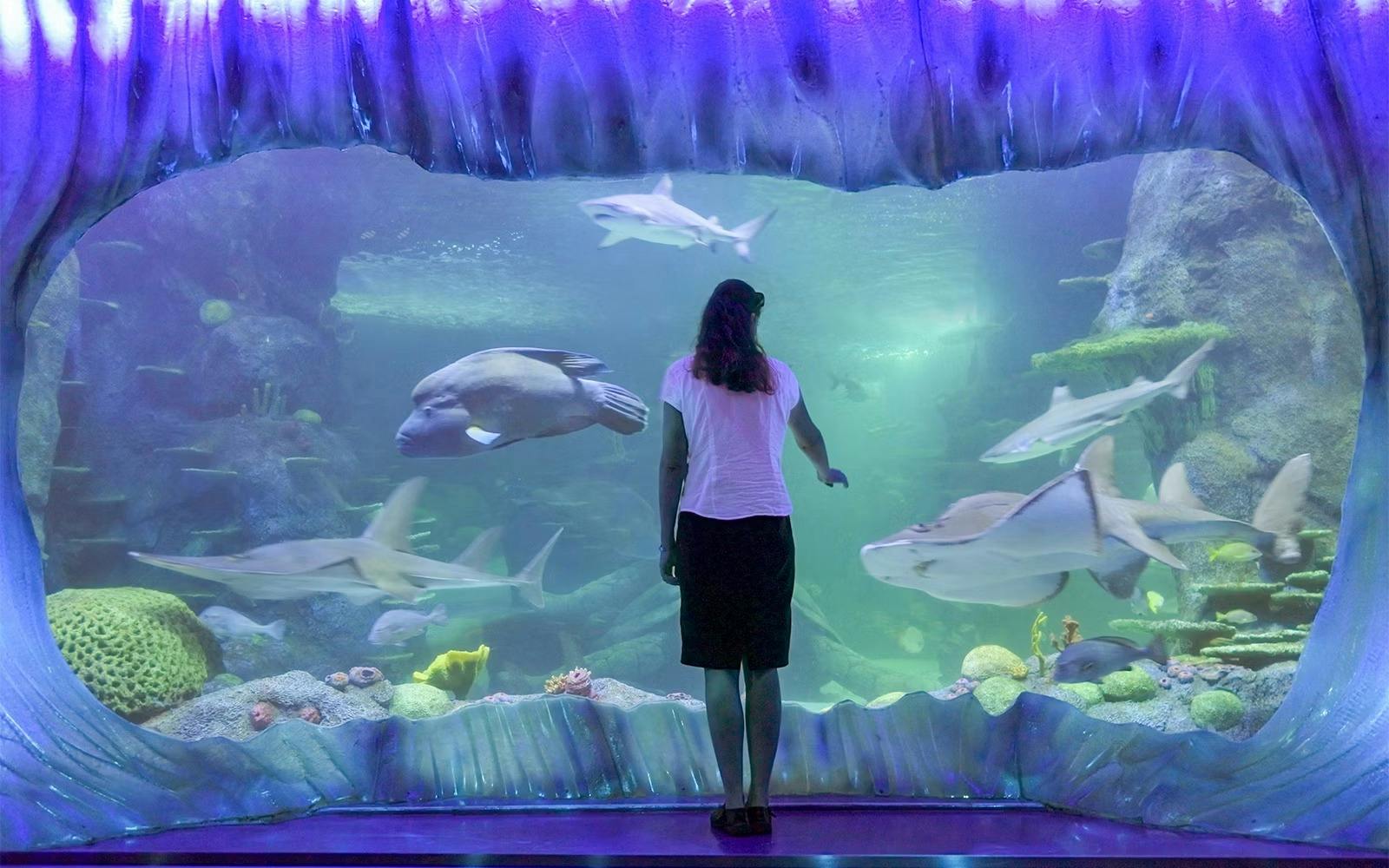 SEA LIFE Sydney Aquarium Tickets Review