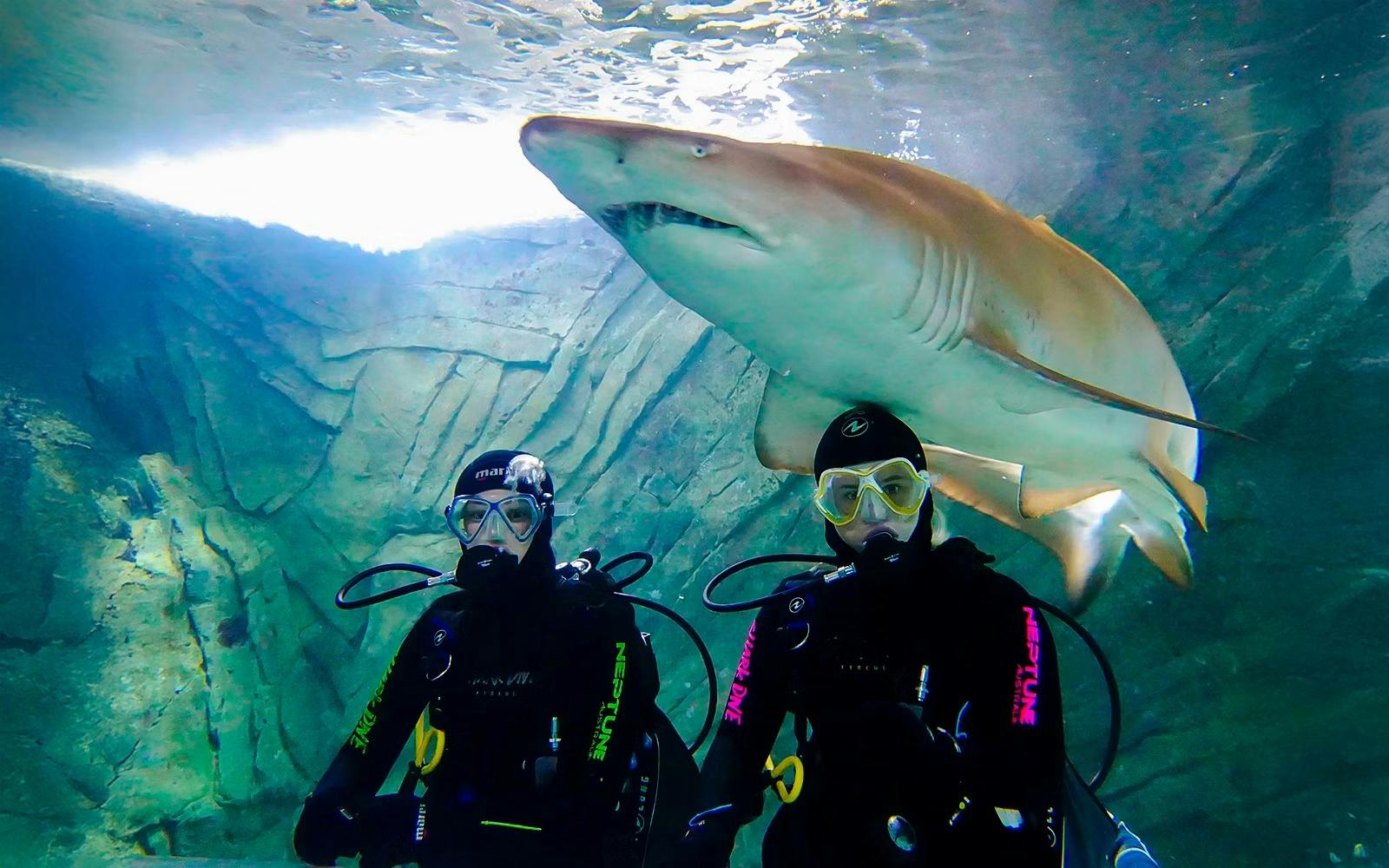 SEA LIFE Sydney Aquarium Tickets 