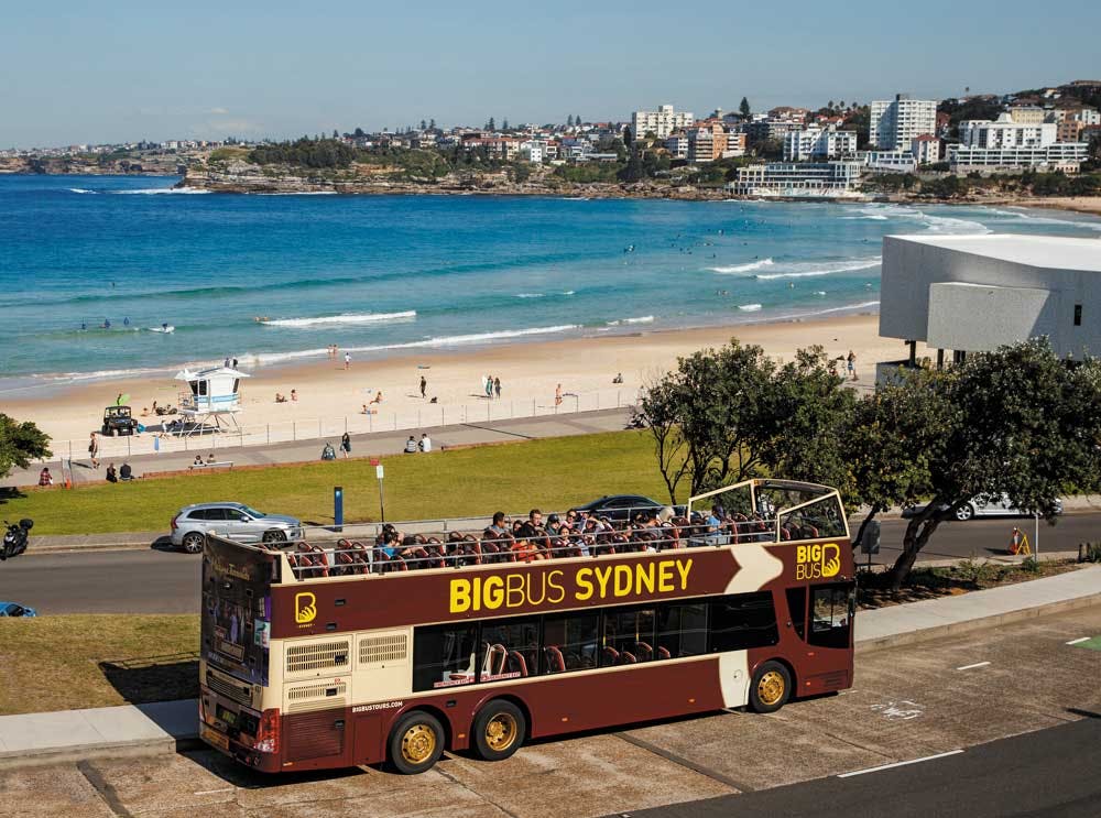 Sydney  Bus Tour with Optional Hop-on-Hop-off Harbour Cruise Ticket