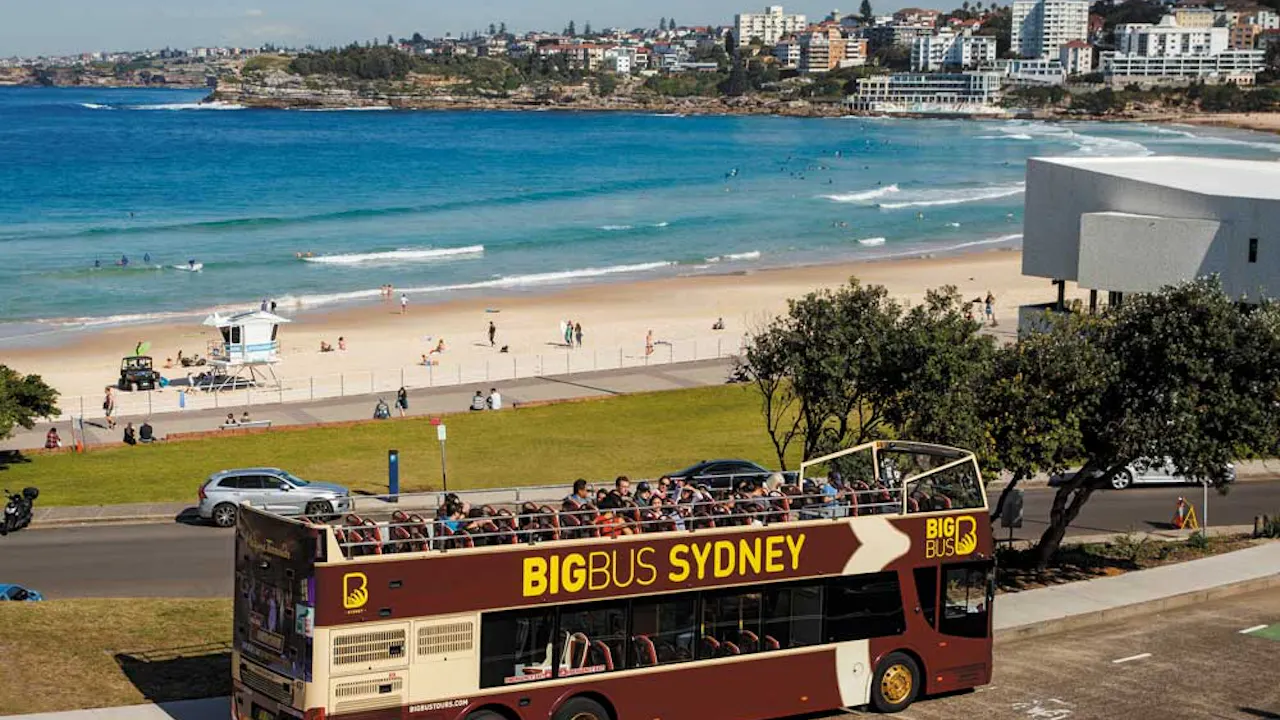 Sydney Bus Tour with Optional Hop-on-Hop-off Harbour Cruise Ticket