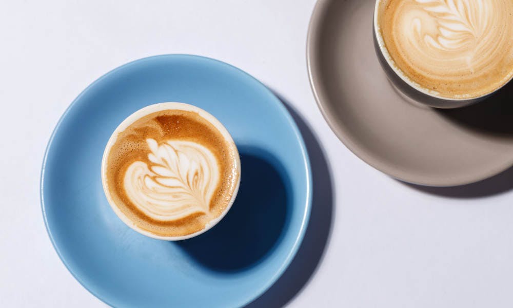 Sydney Opera House Ticket Discount